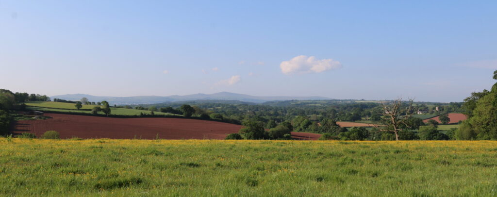 Glorious view 1